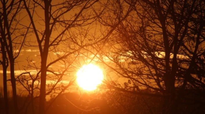 Altas temperaturas