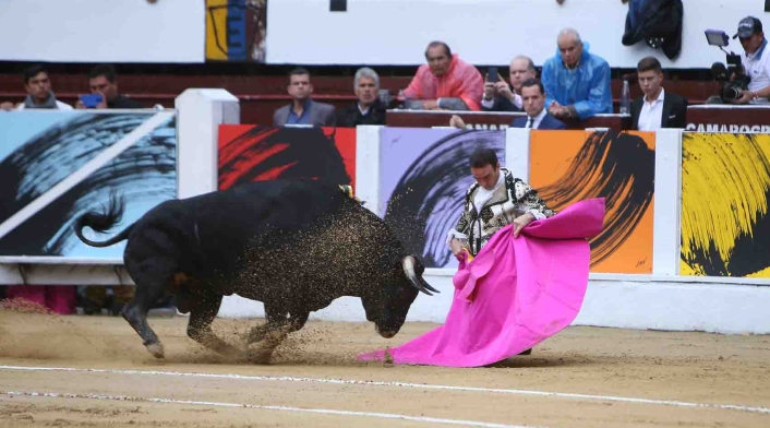 Toros RCN