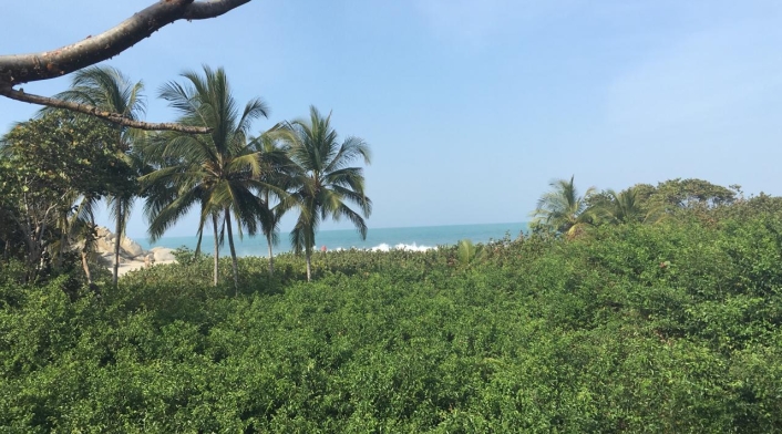 Parque Tayrona - Playa Cañaveral