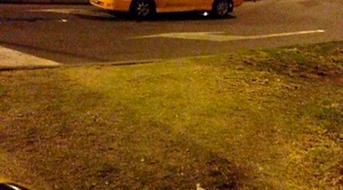 Imagen de referencia de un taxista en Bogotá Imagen de referencia de un taxista en Bogotá