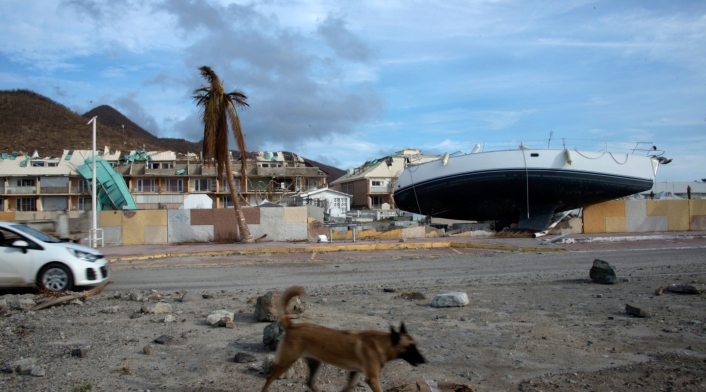 Protección Animal