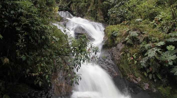 Agua