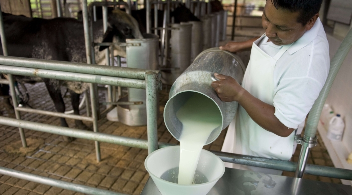Sector Productivo Leche