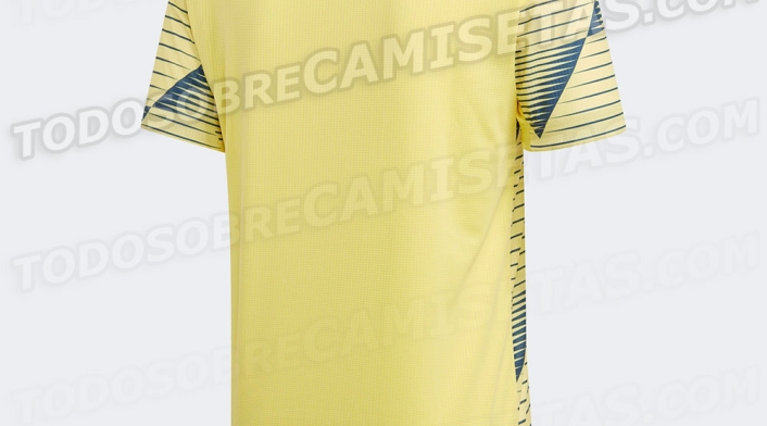 Respaldo de la que sería la nueva camiseta de la Selección Colombia