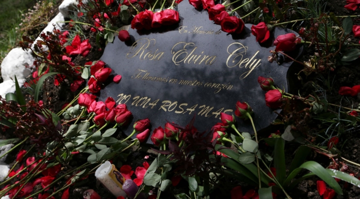 Rosa Elvira Cely