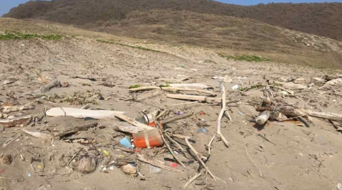 Conservación ambiental
