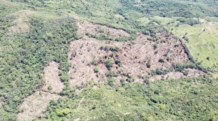 Manifestó se necesitan todas las autoridades ambientales para acabar con la deforestación