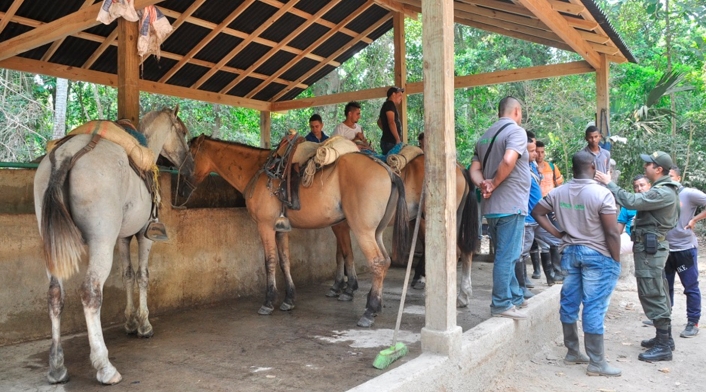 Caballos utilizados para el transporte en el Parque Tayrona, en inmediaciones de Santa Marta