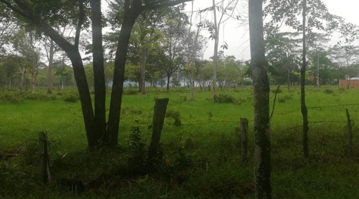Ejercito y Policía recibió ataque con explosivos en Fortul Arauca Ejercito y Policía recibió ataque con explosivos en Fortul Arauca