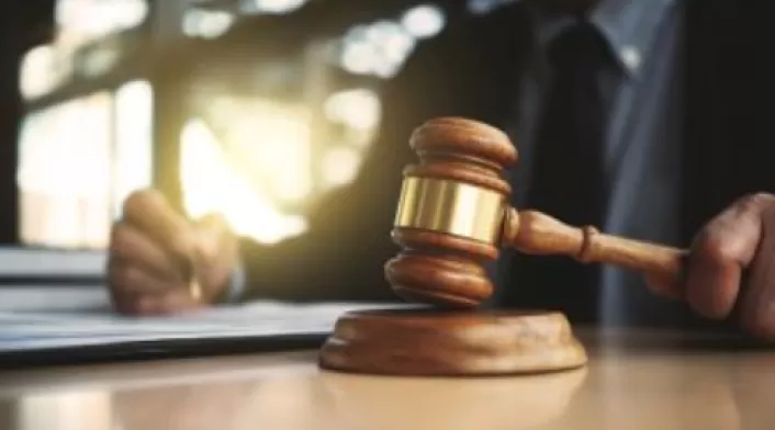 Tutela, ¿cómo tramitar sus derechos sin salir de casa?