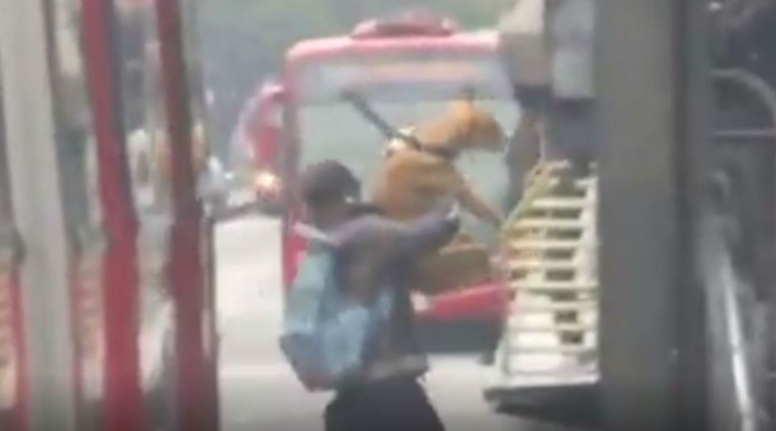 Perro colándose en Transmilenio Perro colándose en Transmilenio