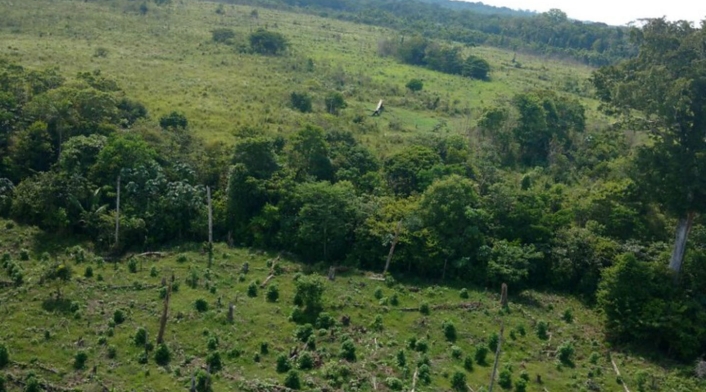 Terrenos baldíos Terrenos baldíos