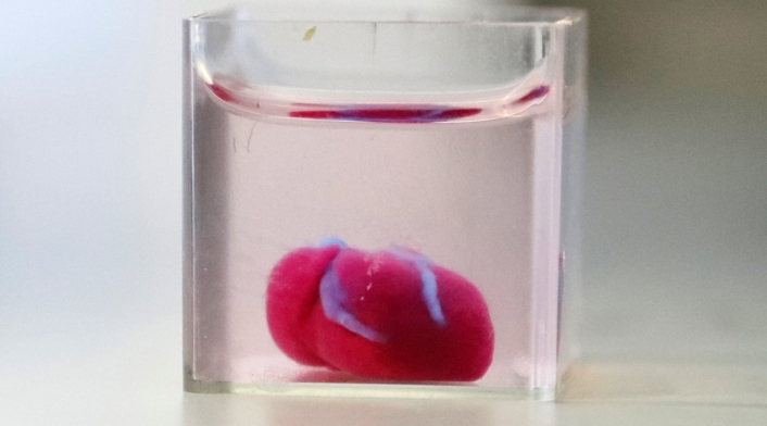 Prototipo de corazón humano en impresión 3D