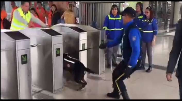 Equipo canino de Transmilenio