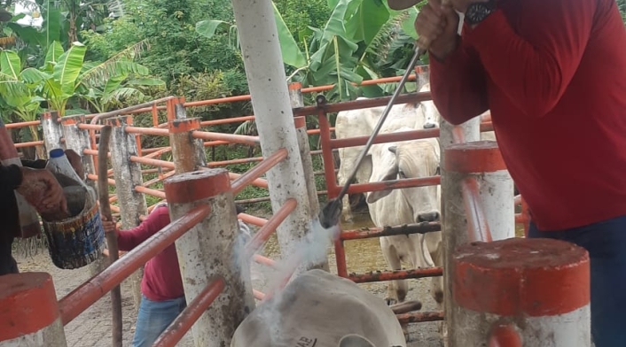 Las propiedades de alias Manicomio en San Carlos de Guaroa (Meta)