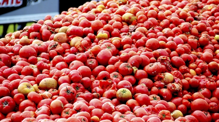 Gran Tomatina Colombiana