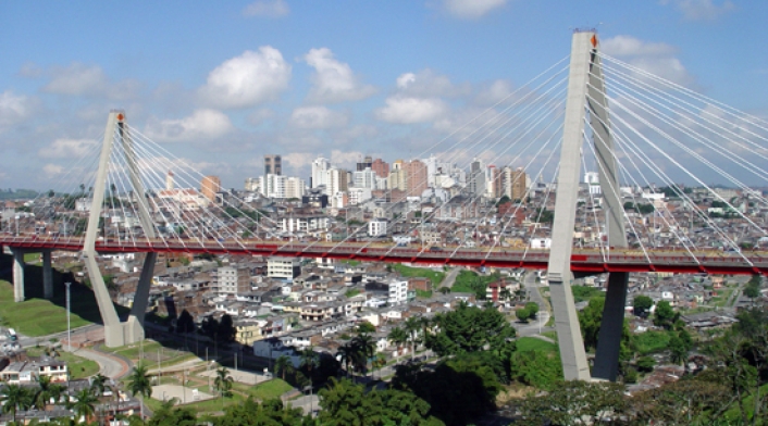 Pereira Pereira