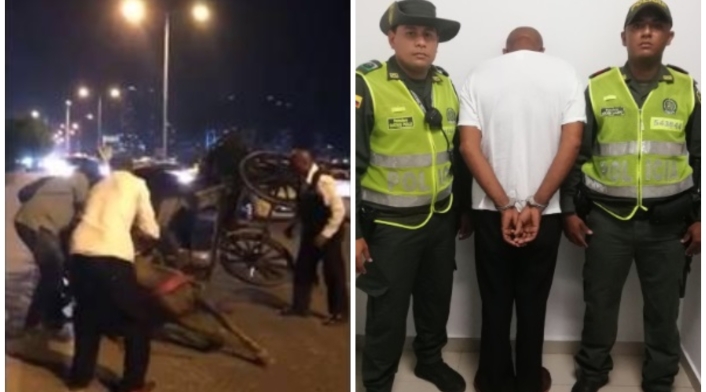 El hombre fue puesto a disposición de la Fiscalía por agresión contra los animales.