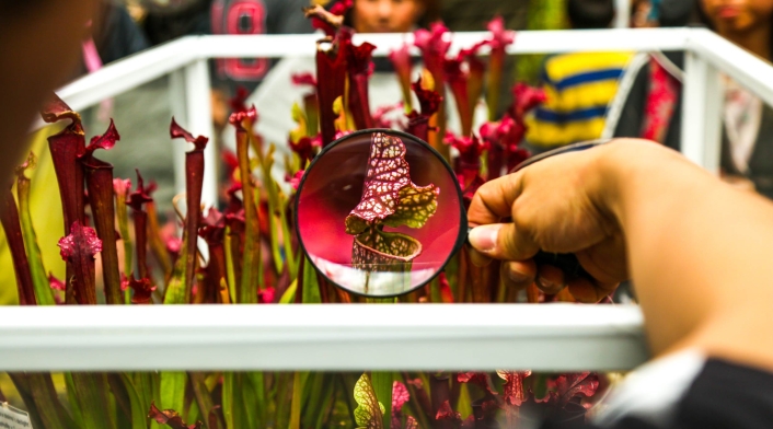 Visitantes en el Jardín Botánico de Bogotá