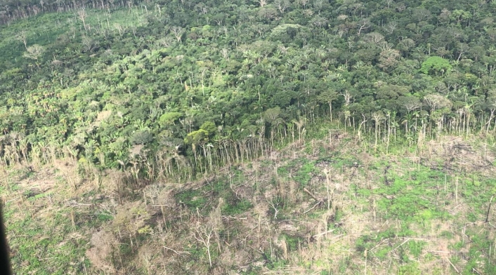 Fueron recuperadas 361 hectáreas en el Parque Nacional Natural Serranía del Chiribiquete en operación Artemisa.