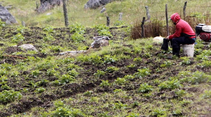 CAMPO COLOMBIANO/AGRICULTURA EN COLOMBIA/CAMPESINOS ‘Campo Emprende’ es el plan del Gobierno para impulsar el crecimiento económico y la transformación en las zons rurales.