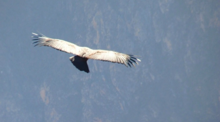 Ecuador