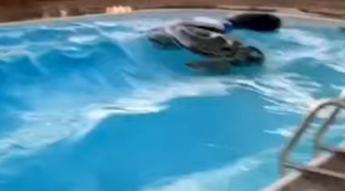 El terremoto en California, desde una piscina