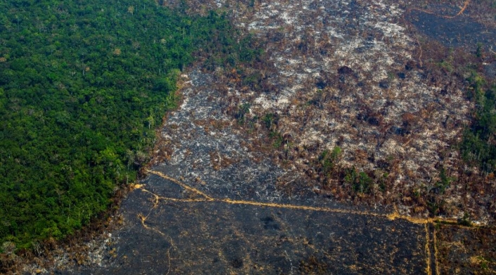 Incendios en la Amazonía