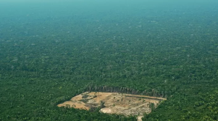 Deforestación en la Amazonia Deforestación en la Amazonia