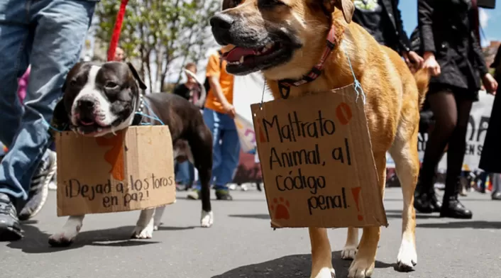 Marcha Nacional Marcha Nacional