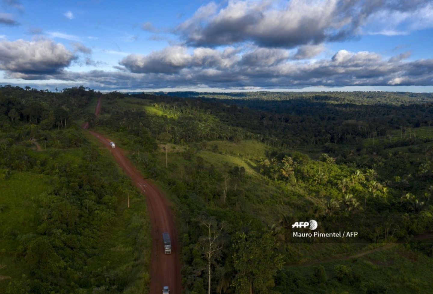 Selva La selva amazónica ejerce un rol crucial en la estabilidad de los climas regional y mundial