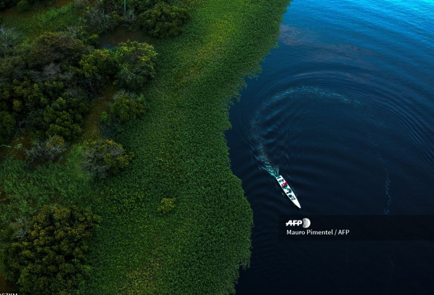 La cuenca amazónica alberga la mayor selva tropical del mundo.
