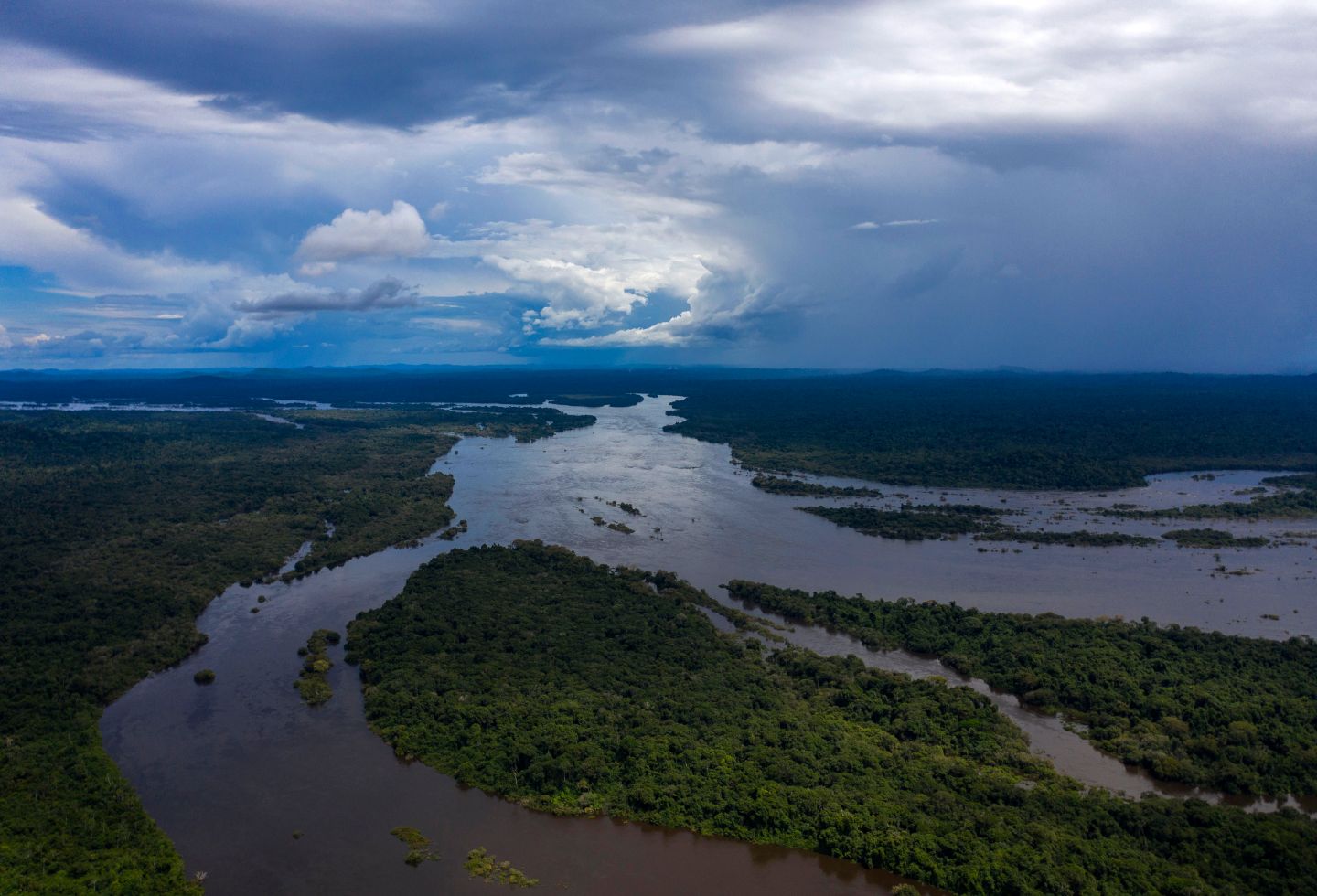 La selva amazónica es el pulmón ambiental del mundo.