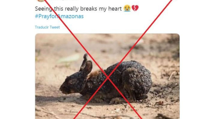 Tuit con imagen falsa de incendio en Amazonia