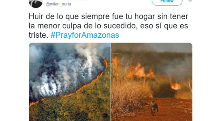 Imágenes falsas sobre incendio en la Amazonía