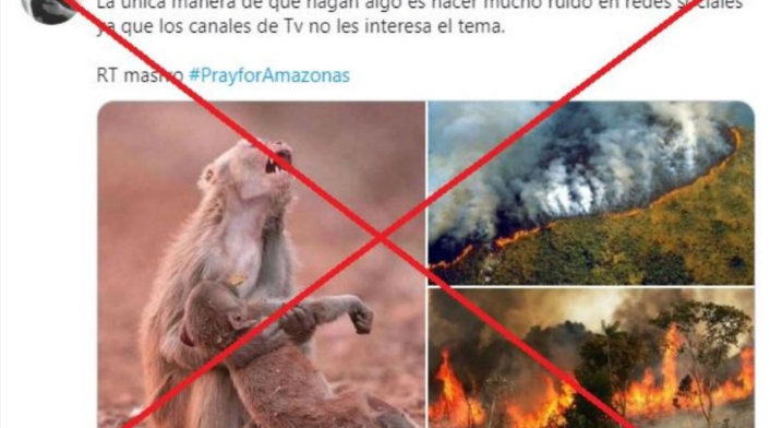 Imágenes engañosas sobre incendio en la Amazonia
