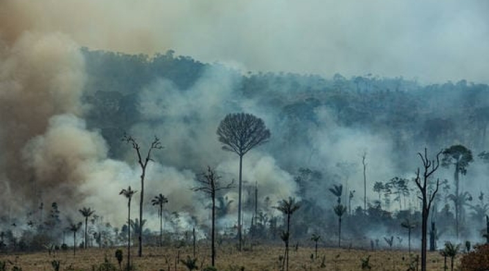 Incendio Forestal en la amazonia brasileña
