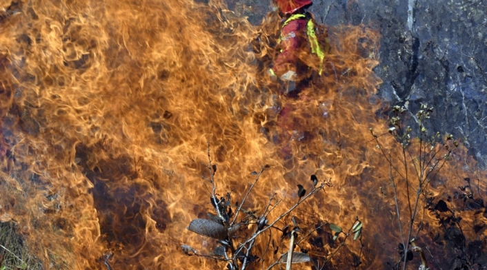 Incendios forestales en Bolivia Incendios forestales en Bolivia