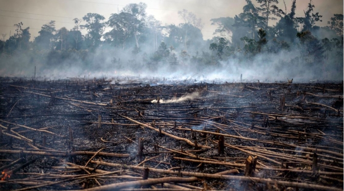 Incendio en la Amazonia, que comparten varios países.