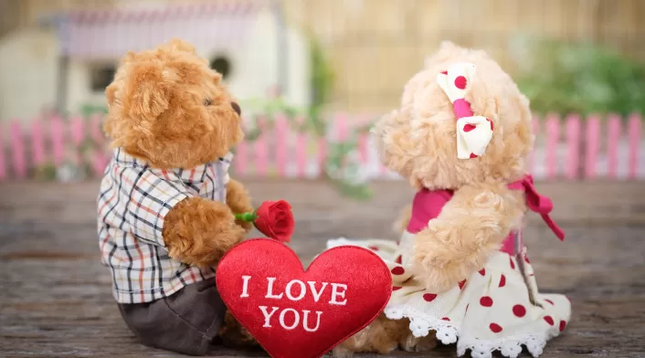 Peluches en amor y amistad Regalos de amor y amistad