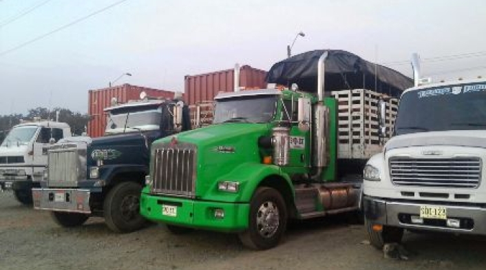 en ciertas zonas de la ciudad en ciertas zonas de la ciudad