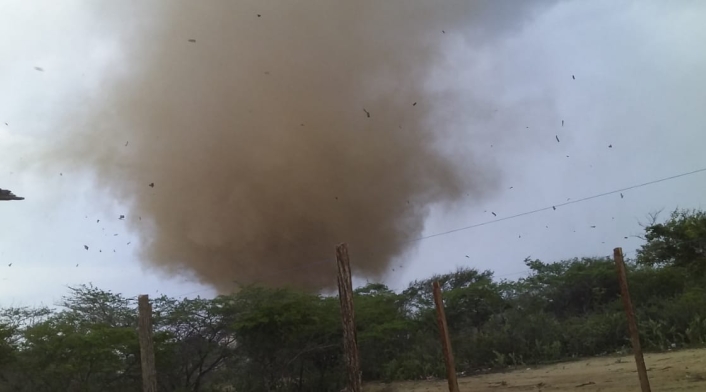 el tornado se llevó todo lo que vio a su paso