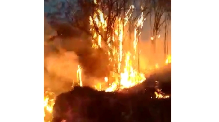 Así está el incendio forestal en Nimaima Así está el incendio forestal en Nimaima