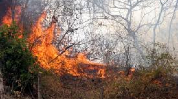 Incendios Forestales en Norte de Santander