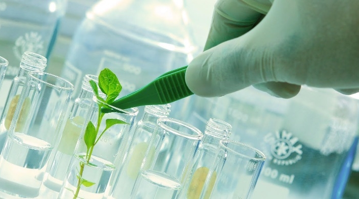 Laboratorio tecnología