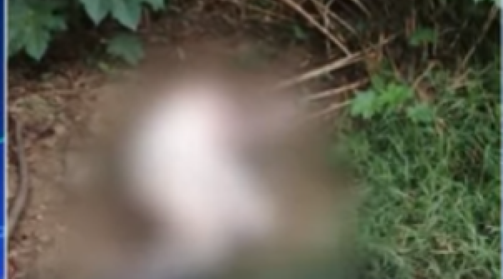 Líder social de Bello denunció que le echaron ACPM y la trataron de incinerar