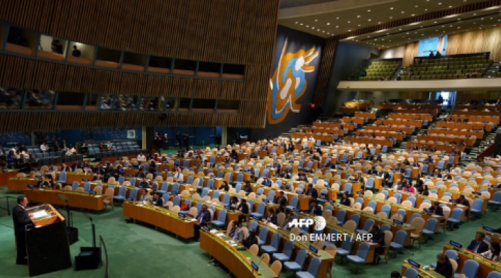 Asamblea General de la ONU