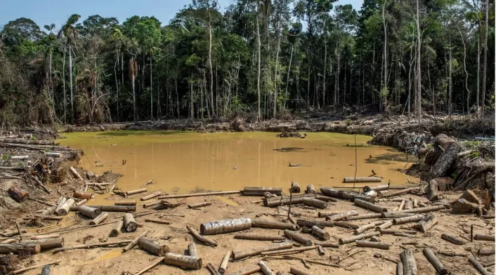Deforestación en el Amazonas