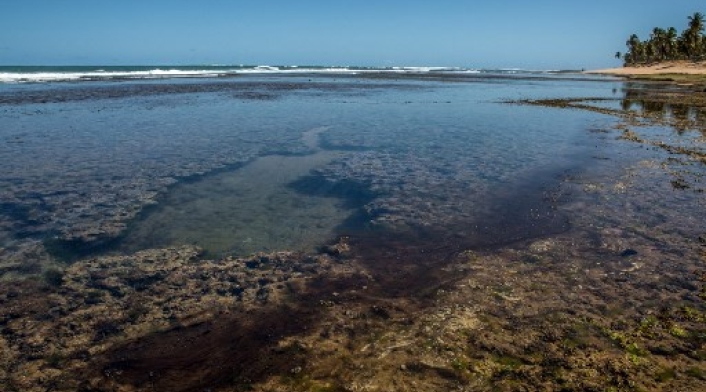Playa Brasil con petroleo