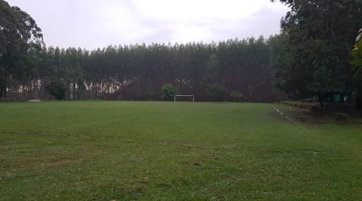 Cancha